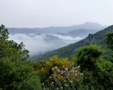 PXL015 Brumes matinales