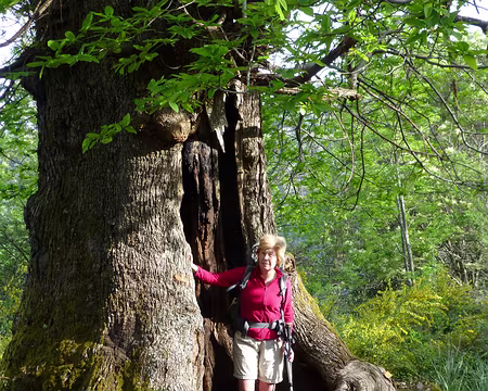 PXL052 Le curieux animal à ma droite !