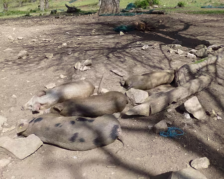 PXL060 Sea, SIESTE, and sun