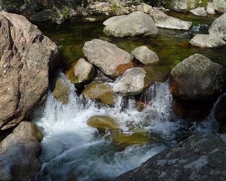 PXL075 Le torrent de la Spelunca