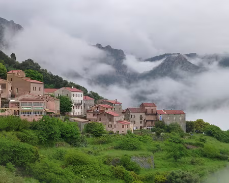 PXL101 Ota dans la brûme