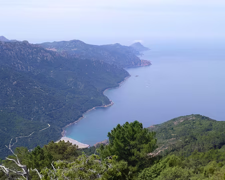 PXL146 Du Capu San Pietru