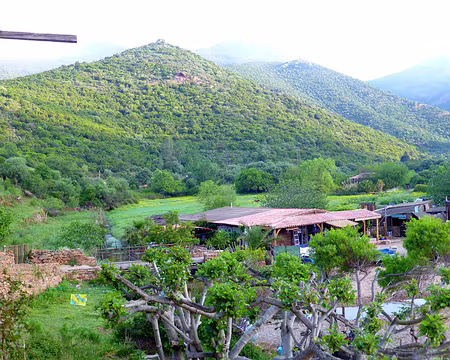 PXL187 Qui eut cru la Corse aussi verdoyante ?