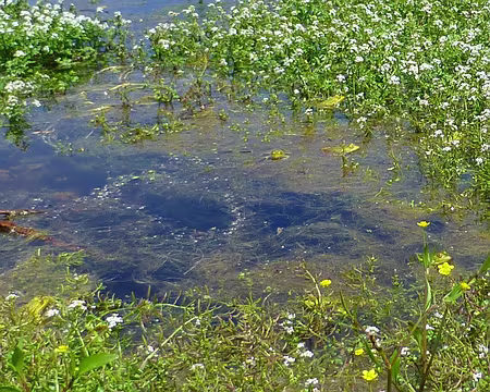 PXL208 Zoom : J'en compte sept !