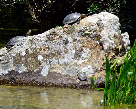 PXL209 Multi-activités : aujourd'hui escalade ou ...