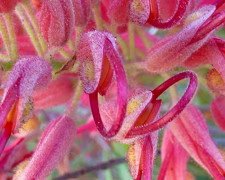 PXL227 Je sais, là j'ai un peu abusé !