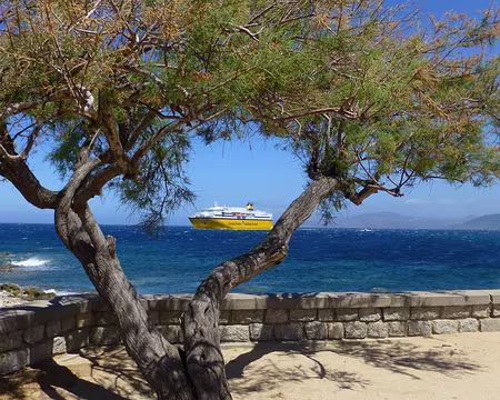 PXL248 La prochaine fois en ferry ?