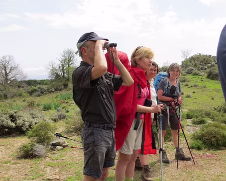 PXL006 observation des cimes