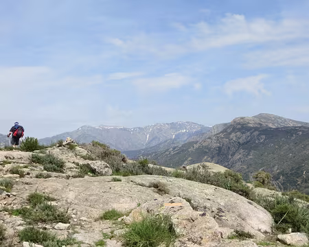 PXL007 cimes enneigées