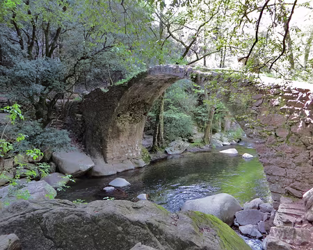 PXL015 pont dans les gorges de la Spelunca