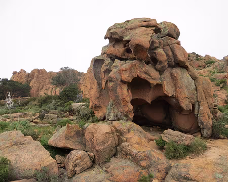 PXL018 éléphant ou lion ? (ou...)