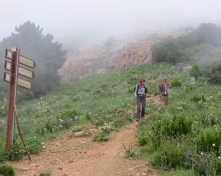 PXL019 ambiance brumeuse