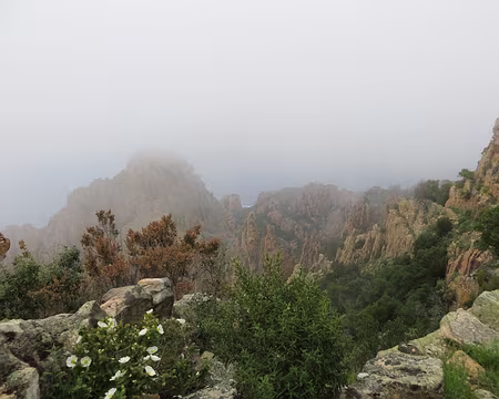 PXL020 calanques dans la brume