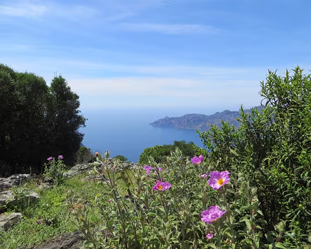 PXL025 vue dans la direction de Girolata