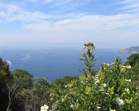 PXL036 entre Galeria et Tuarelli