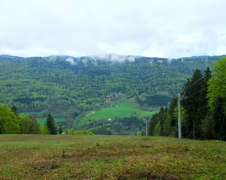 PXL025 Coté Français