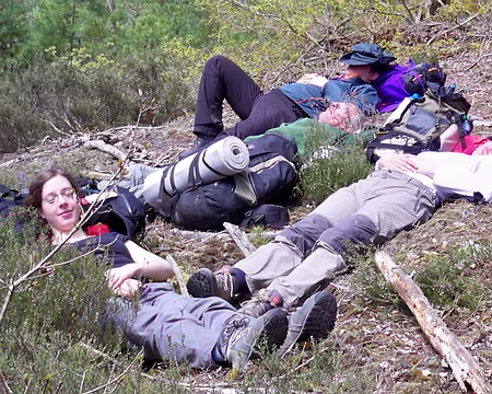 Picasa 13h15, la réfléxion se poursuit...