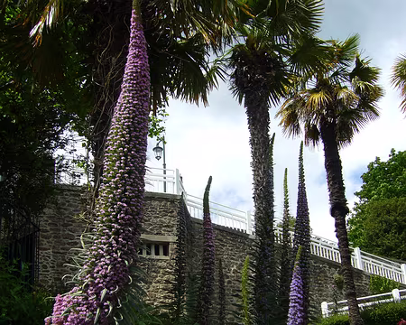 PXL001 DINARD - BATEAUX DE PLAISANCE