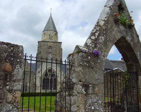 PXL004 CHAT - SAINT SULIAC