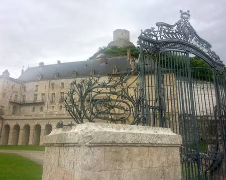 Picasa La roche Guyon