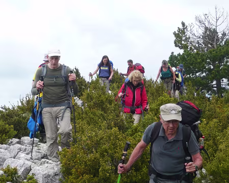 PXL028 Toujours en hors sentier.