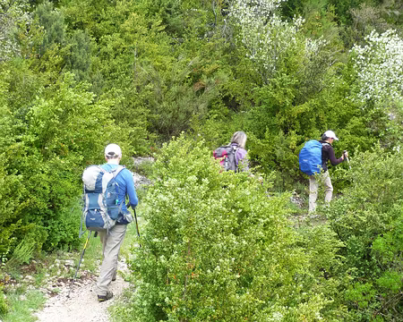 PXL031 Une chance, le sentier Martel n'est réouvert que depuis ce matin, après les fortes pluies des jours derniers.