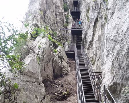 PXL040 L'impressionnante série d'échelles métalliques.