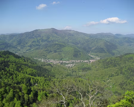 PXL003 Vallée de la Thur