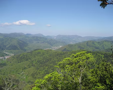 PXL004 Vallée de la Thur