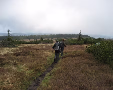 PXL036 Réserve naturelle de Tanet Gazon Faing