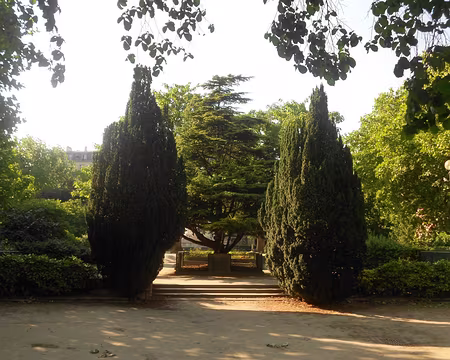 PXL003 Aménagement de ce square en 1938 avec plantation d'ifs d'Irlande.