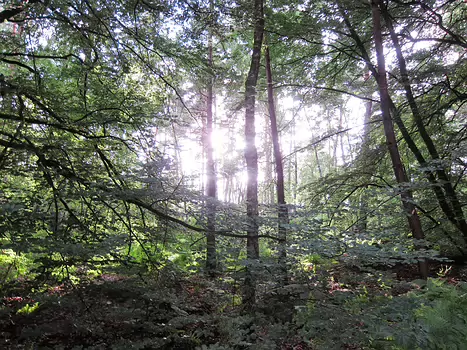 2013-06 Fontainebleau soiree