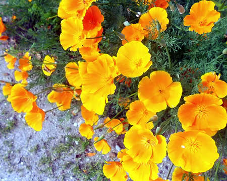 PXL011 Merci à Alain