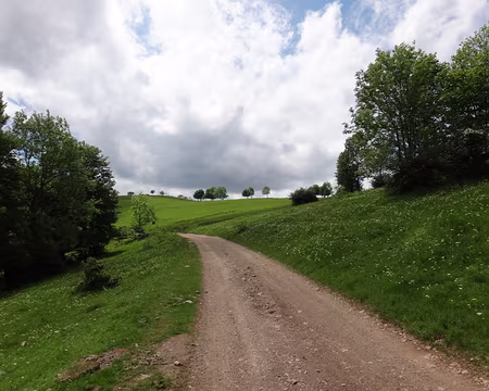 PXL004 Vers la ferme du Belacker