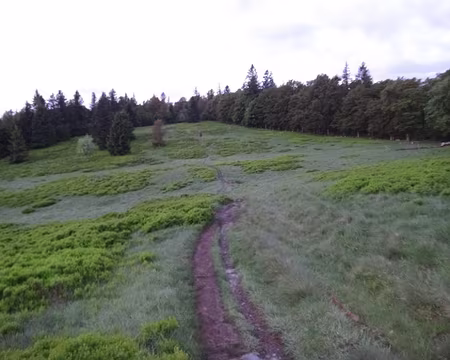 PXL015 Après une nuit blanche, nous arrivons au Haut de Felsach