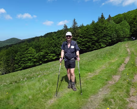 PXL023 Avant Rouge Gazon