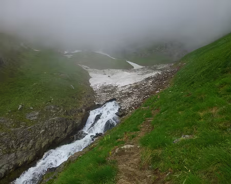 PXL005 Sera ultérieuement qualifié de 