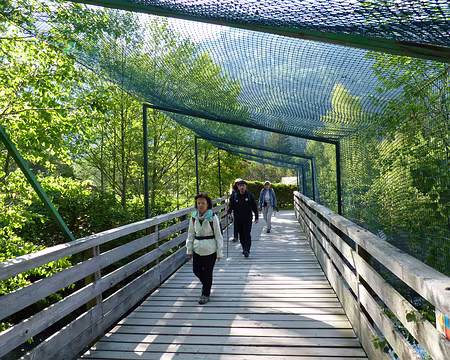 Picasa Entrée des artistes