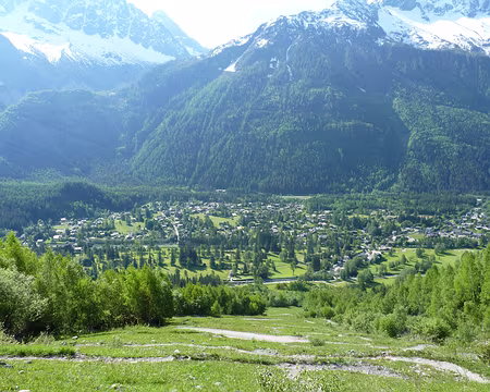 Picasa Une bonne montée dans le vert