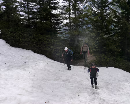 PXL005 et on se retrouve dans la neige