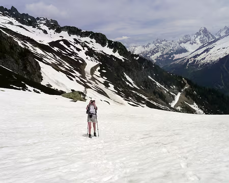 Picasa Les paparazzi sont partout