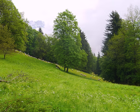 PXL023 De retour sur la bonne pente