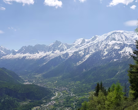 Picasa Il faut 3 photos pour tout couvrir...