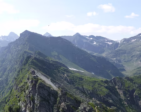 PXL001 Et sa jolie arête
