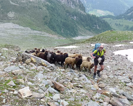 PXL055 Philippe a trouvé une nouvelle vocation