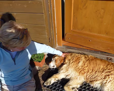 PXL089 Il faut le consoler de notre départ