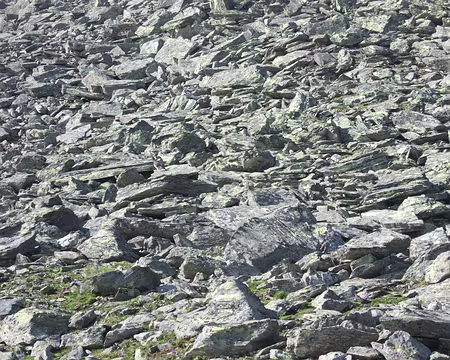 DSCF5032 Deux lagopedes à trouver parmi les rochers