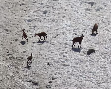 IMG_3301 Pour les jeunes, c'est l'heure de la récré !