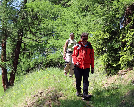 IMG_3307 Enfin un peu de couleur...