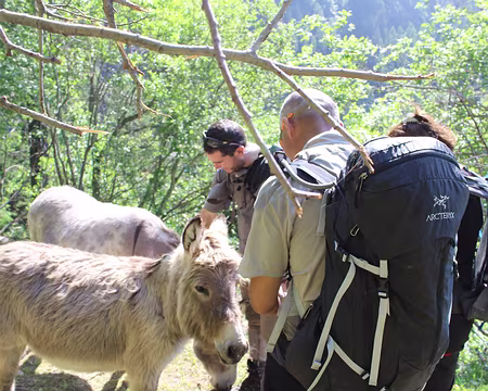 IMG_3310 Un peu collant, mais sympa